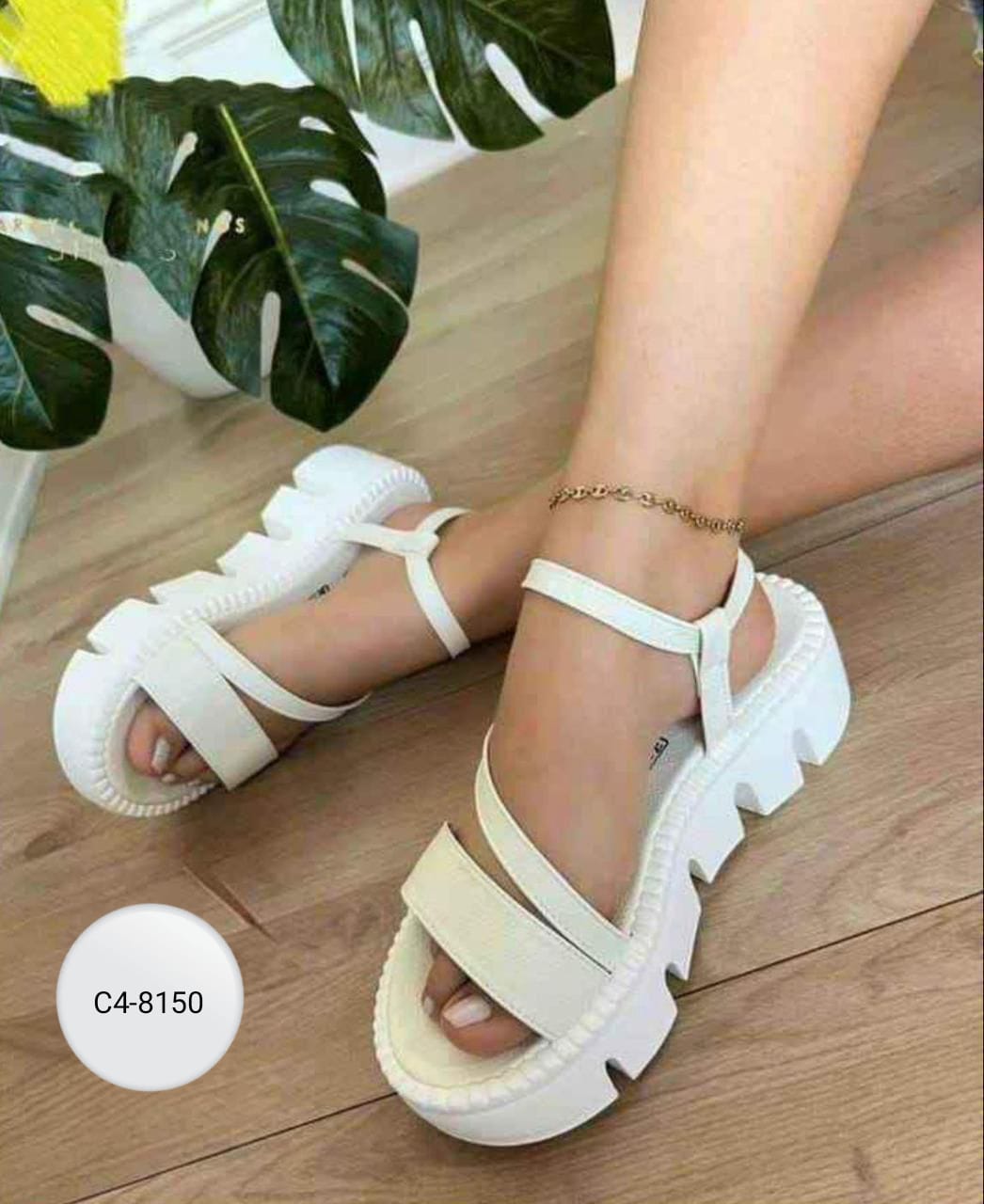 Calzado Para Mujer C4-8150 (M)