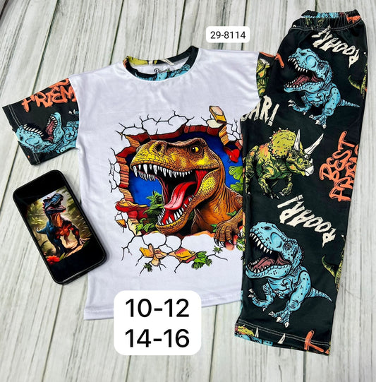 Pijama Para Niño 29-8114 (M)